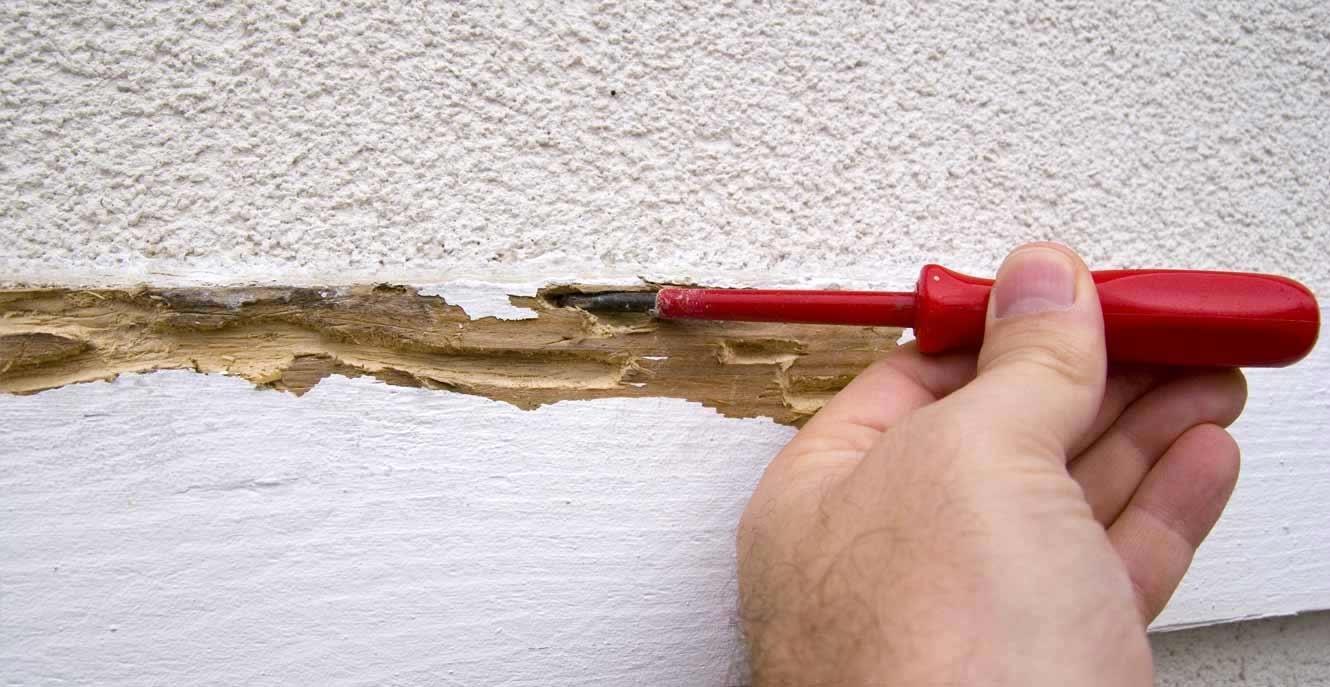 Avoid costly home termite damage repairs